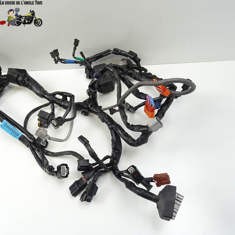 Faisceau éléctrique Honda 500 CBR 2019 - CTM-9800-022