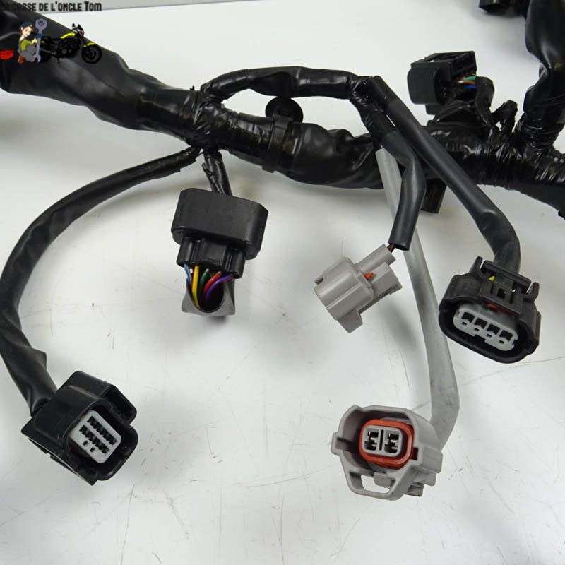 Faisceau éléctrique Honda 500 CBR 2019 - CTM-9800-022