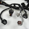 Faisceau éléctrique Honda 500 CBR 2019 - CTM-9800-022