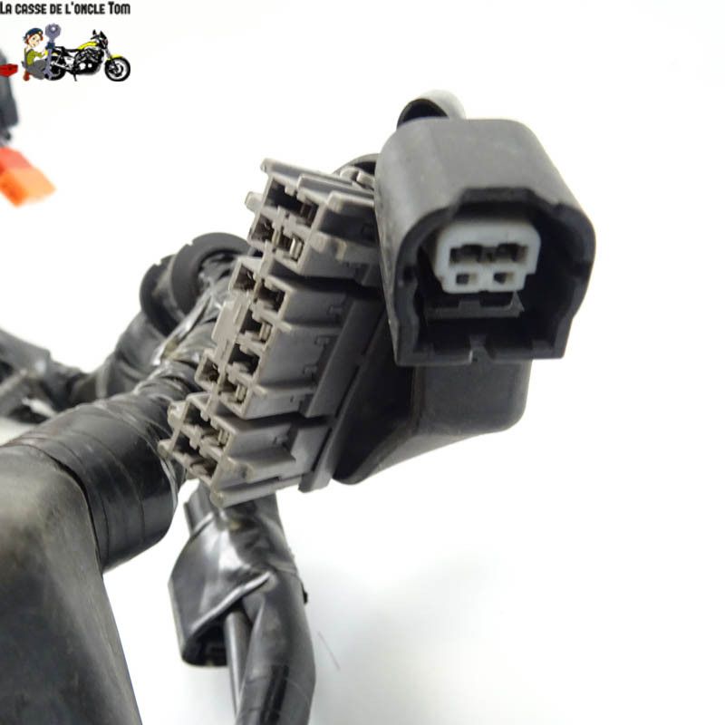 Faisceau éléctrique Honda 500 CBR 2019 - CTM-9800-022