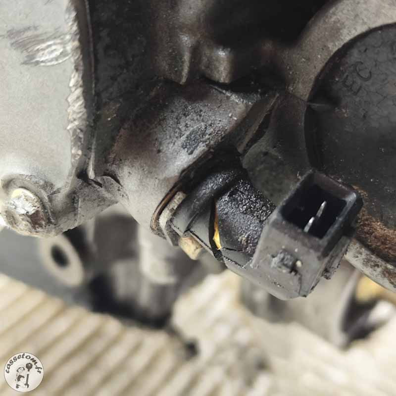 Moteur Benelli 899 TNT  2008