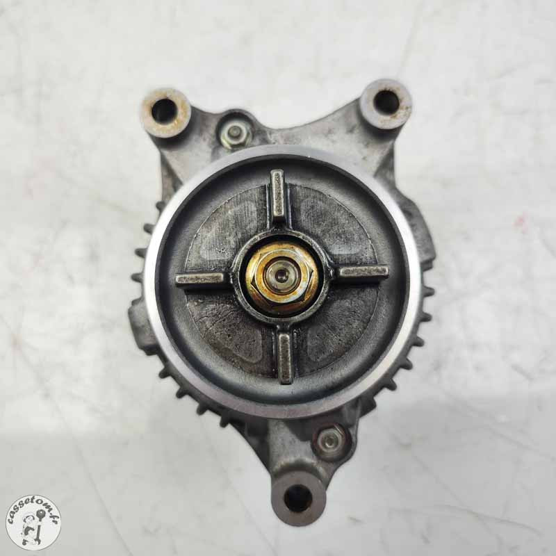 Alternateur  Benelli 899 TNT  2008