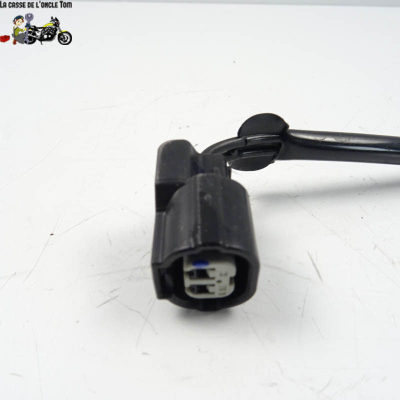 Contacteur de frein Arrière Honda 500 CBR 2019 - CTM-9800-068