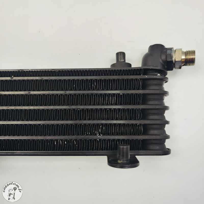 Radiateur d'huile  Benelli 899 TNT  2008
