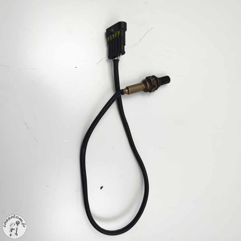 Sonde lambda  Benelli 899 TNT  2008