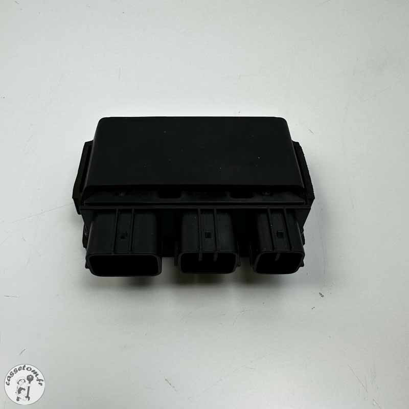 Relais ASSY Kawasaki 650 Vulcan S | CasseTom