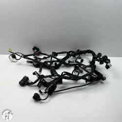 Faisceau électrique  Kawasaki 650 vulcan s  2022