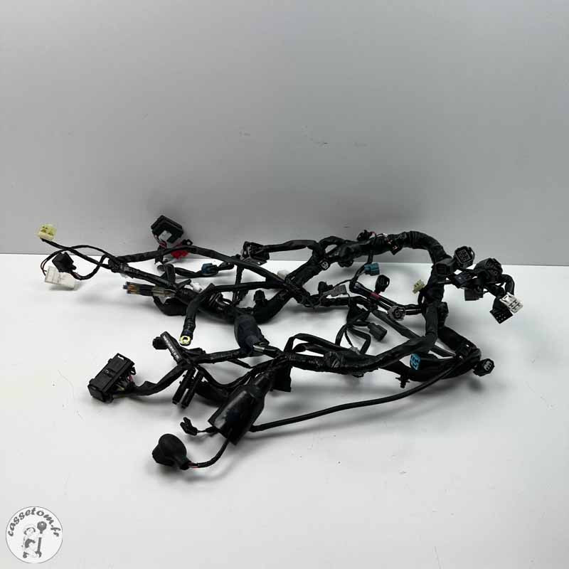 Faisceau électrique  Kawasaki 650 vulcan s  2022