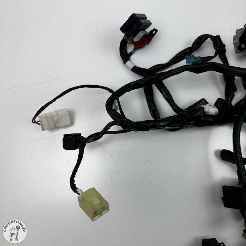 Faisceau électrique  Kawasaki 650 vulcan s  2022