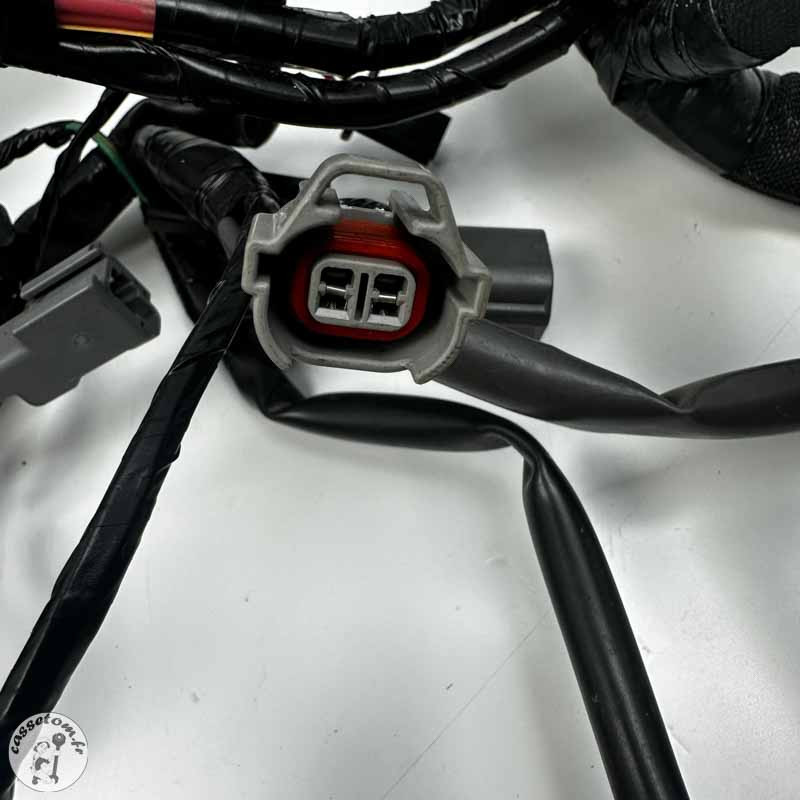 Faisceau électrique  Kawasaki 650 vulcan s  2022