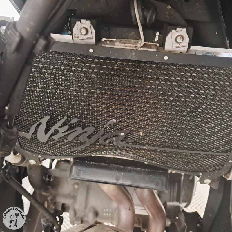 Kawasaki 500 Ninja de2024