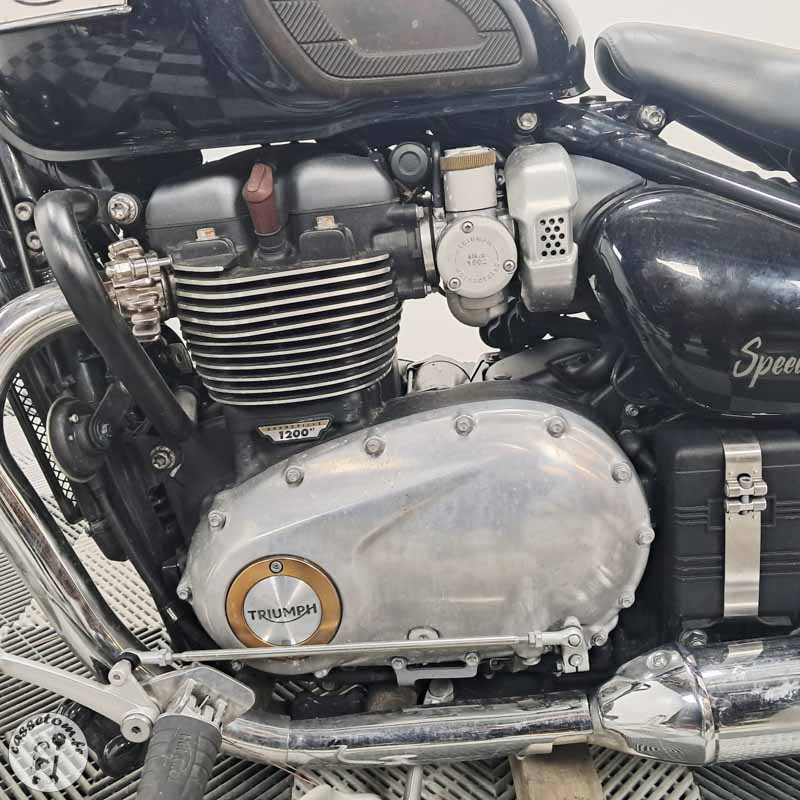 Triumph Speedmaster 1200 de  2019