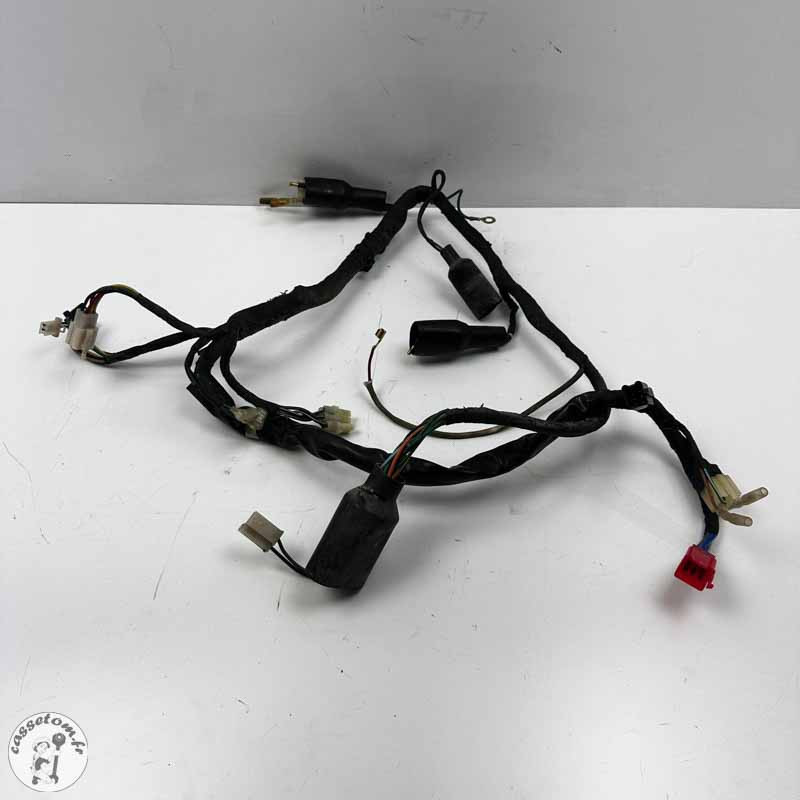 Faisceau électrique  Daelim 125 VT 2002