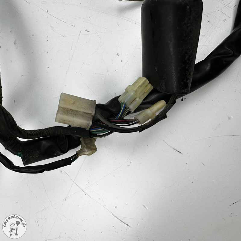 Faisceau électrique Daelim 125 VT 2002 Occasion | CasseTom