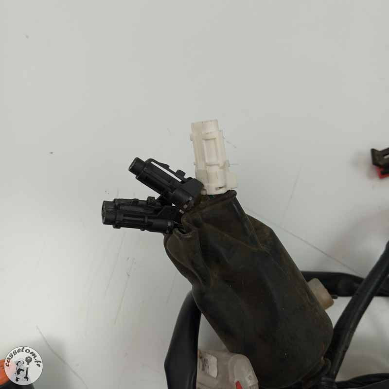 Faisceau électrique Kymco 50 Agility 2020 Occasion | CasseTom