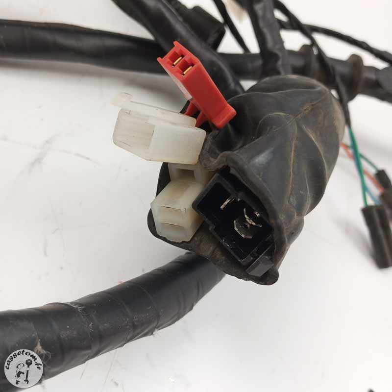 Faisceau électrique Kymco 50 Agility 2020 Occasion | CasseTom