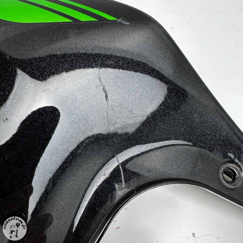 Coque arrière  Kawasaki 900 Z 2020