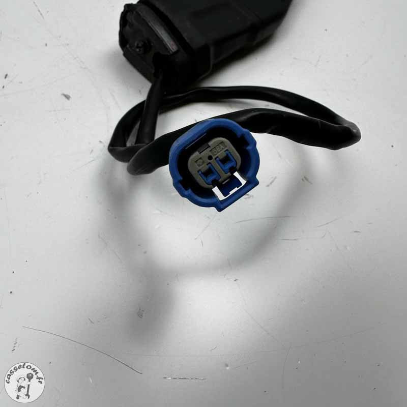 Clignotants arrière  Kawasaki 900 Z 2020