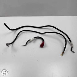 Câble de batterie Kawasaki 900 Z 2020 Occasion | CasseTom