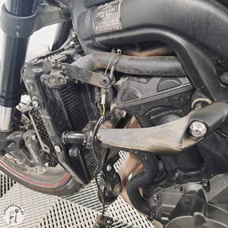 Triumph 765 Street Triple de  2017