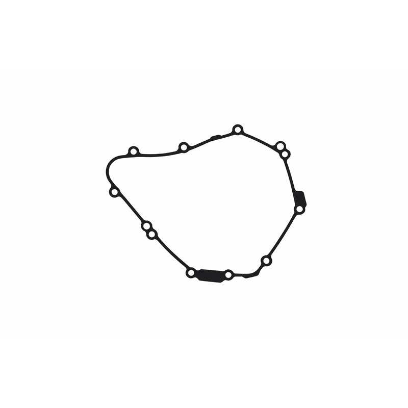 Joint de carter d'alternateur CENTAURO