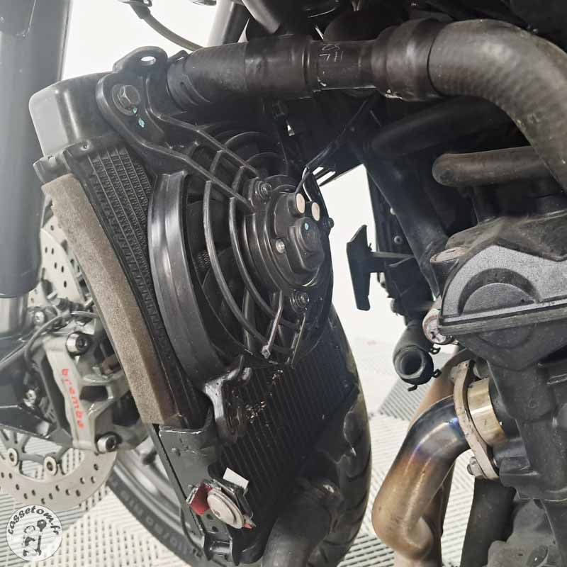 Triumph 900 Tiger de  2020