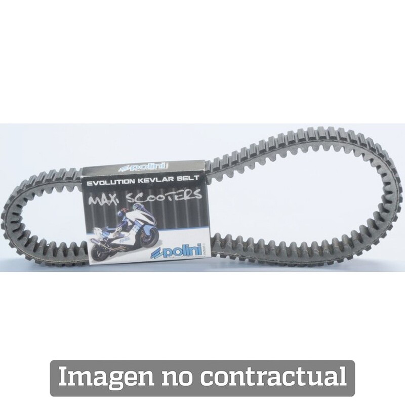 Courroie de transmission POLINI Kevlar renforcée