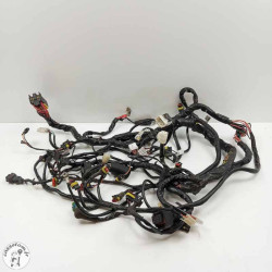 Faisceau électrique Piaggio 300 beverly 2011 Occasion | CasseTom