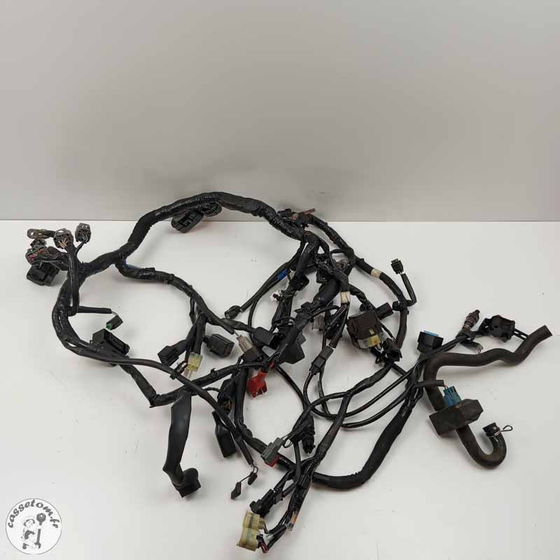 Faiscau électrique Kawasaki 650 Z 2017 Occasion | CasseTom