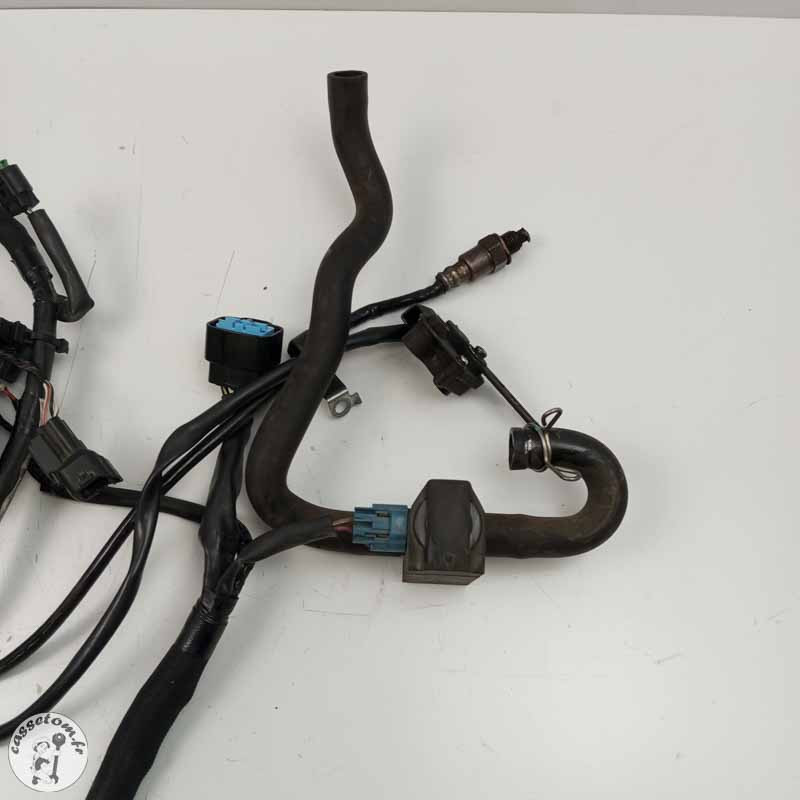 Faiscau électrique  Kawasaki  650 Z 2017