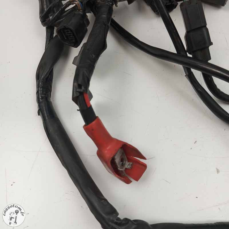 Faiscau électrique Kawasaki 650 Z 2017 Occasion | CasseTom