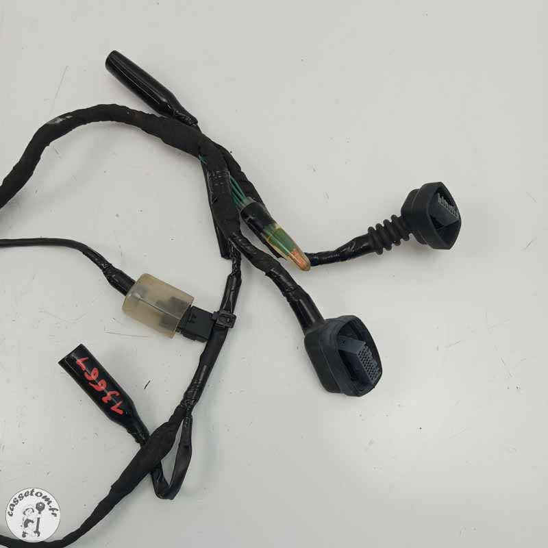 Faisceau avant Honda 1100 CRF Africa Twin 2024 | CasseTom