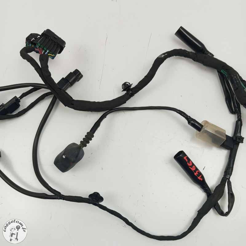 Faisceau avant Honda 1100 CRF Africa Twin 2024 | CasseTom