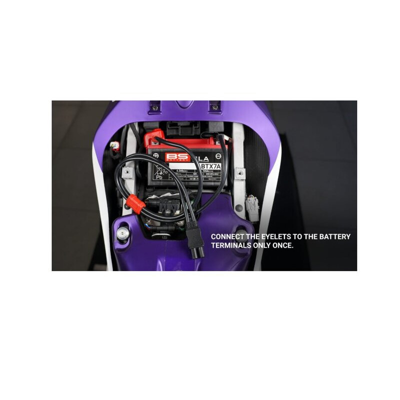 Connecteur à œillet BS BATTERY PA-01 MAX