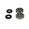Kit roulements et joints spi de vilebrequin PROX