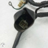 Faisceau électrique  Honda 500 cb 1997 - Cassetom - Nos pieces motos