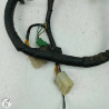 Faisceau électrique  Honda 500 cb 1997 - Cassetom - Nos pieces motos