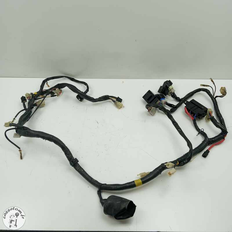 Faisceau électrique Yamaha  600 xj diversion 1998 - Cassetom - Nos pieces motos
