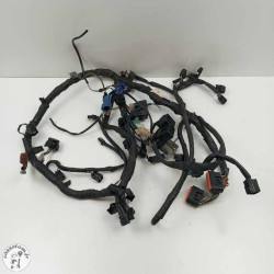 Faisceau électrique Suzuki 650 gsf bandit 2007 - Cassetom - Nos pieces motos