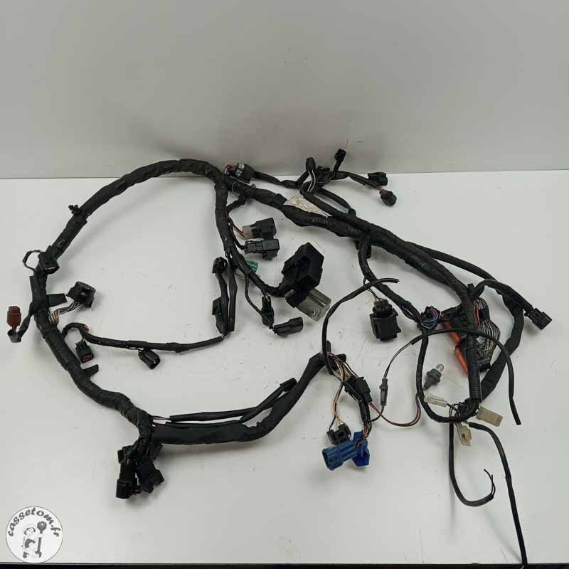 Faisceau électrique Suzuki 650 gsf bandit 2007 - Cassetom - Nos pieces motos