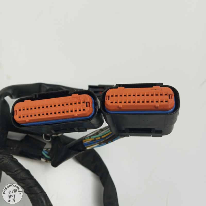 Faisceau électrique Suzuki 650 gsf bandit 2007 - Cassetom - Nos pieces motos