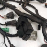 Faisceau électrique Suzuki 650 gsf bandit 2007 - Cassetom - Nos pieces motos
