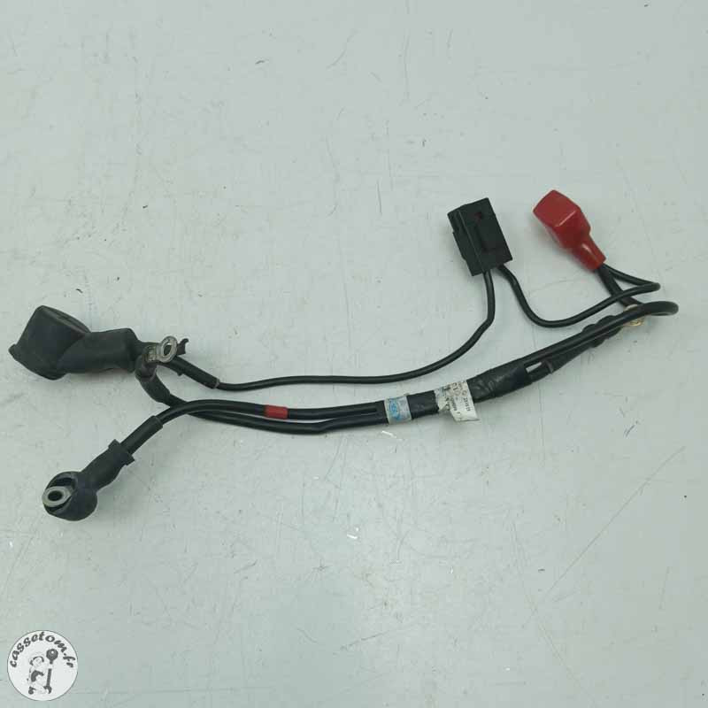 Câble de batterie  Triumph 1200 tiger xrx 2019 - Cassetom - Nos pieces motos