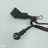 Câble de batterie  Triumph 1200 tiger xrx 2019 - Cassetom - Nos pieces motos