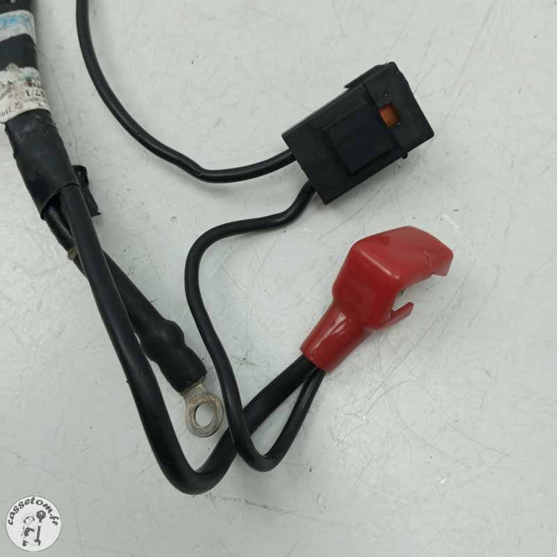 Câble de batterie  Triumph 1200 tiger xrx 2019 - Cassetom - Nos pieces motos