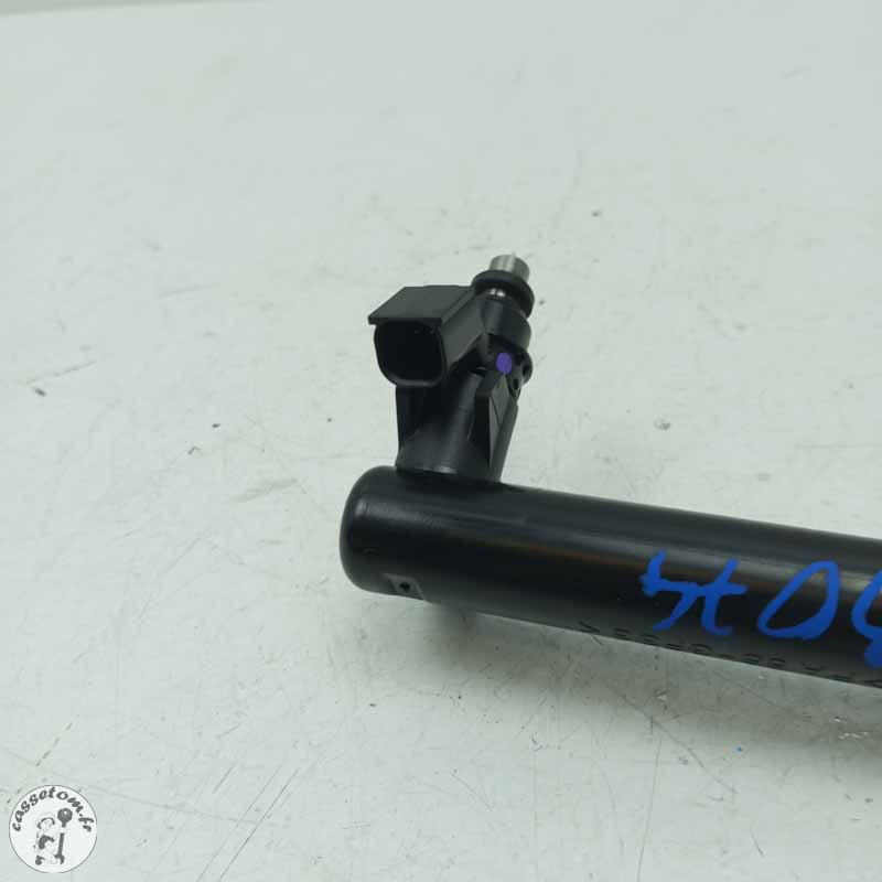 Rampe d'injecteurs et durite à essence  Triumph 1200 tiger xrx 2019 - Cassetom - Nos pieces motos