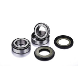 Kit de roulements FACTORY LINKS - 6205 2RS x10