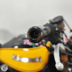 KAWASAKI Z900RS de 2024