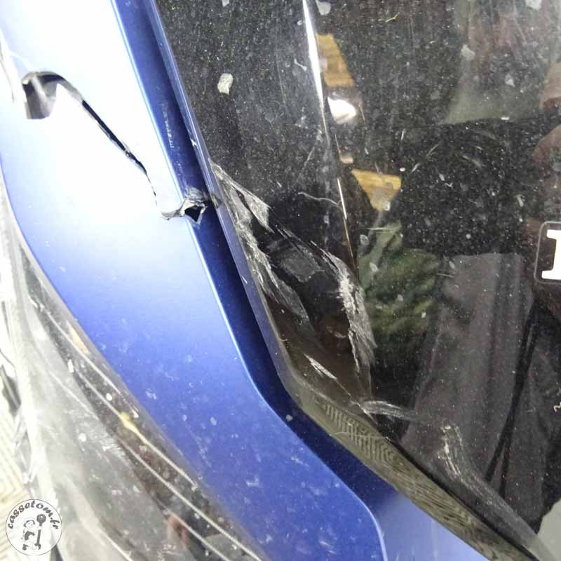 HONDA 125 Forza de 2019