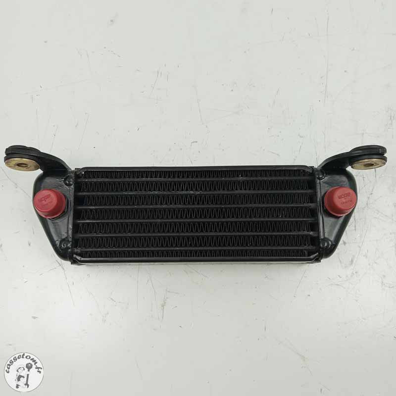 Radiateur d'huile  Bmw 1100 r gsk 1996 - Cassetom - Nos pieces motos